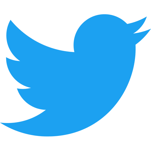 twitter brand social logo